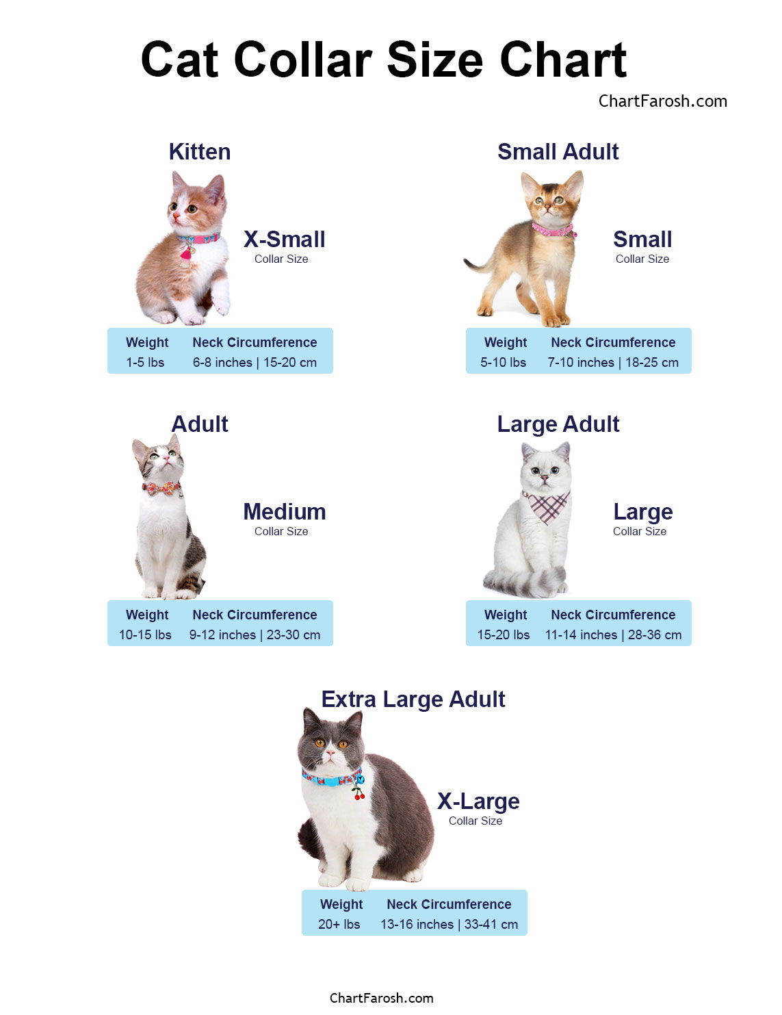 Cat Collar Size Chart