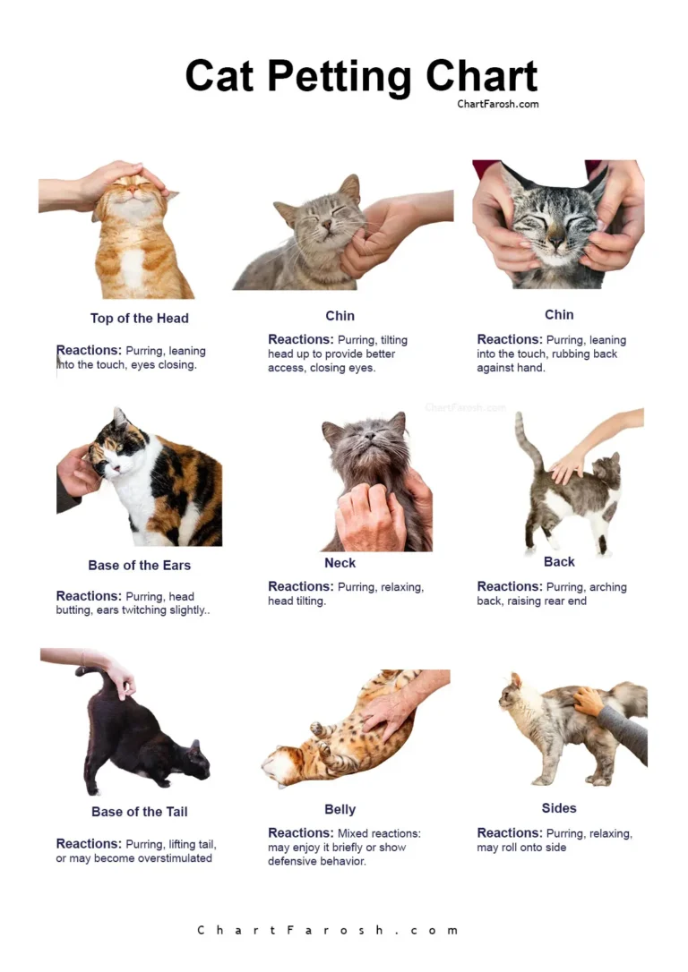 Cat Petting Chart
