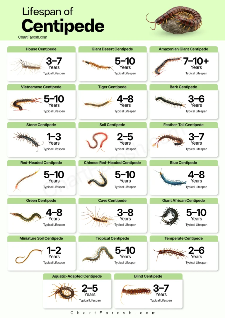 Centipede Lifespan chart