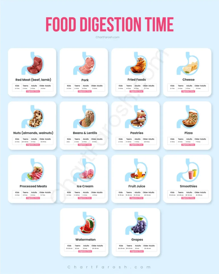 Food Digestion Time Chart