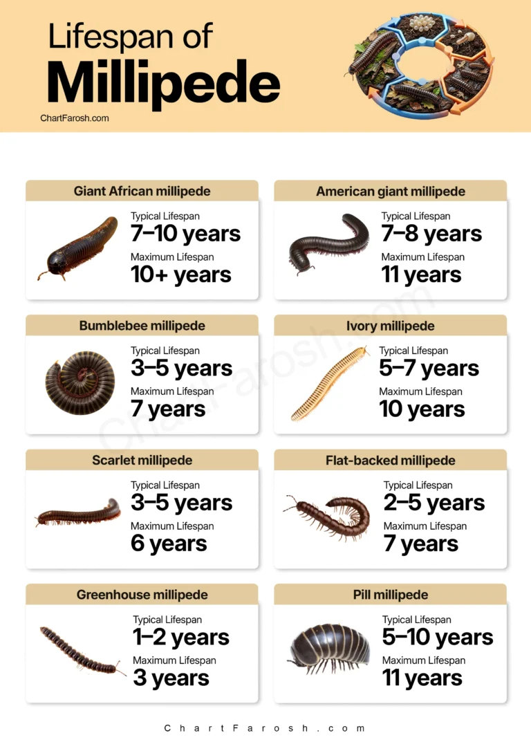 Millipede Lifespan Chart