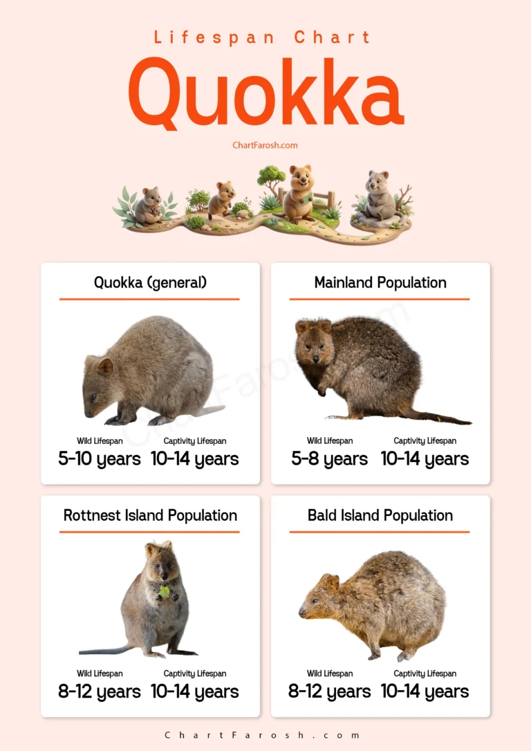 Quokka Lifespan Chart