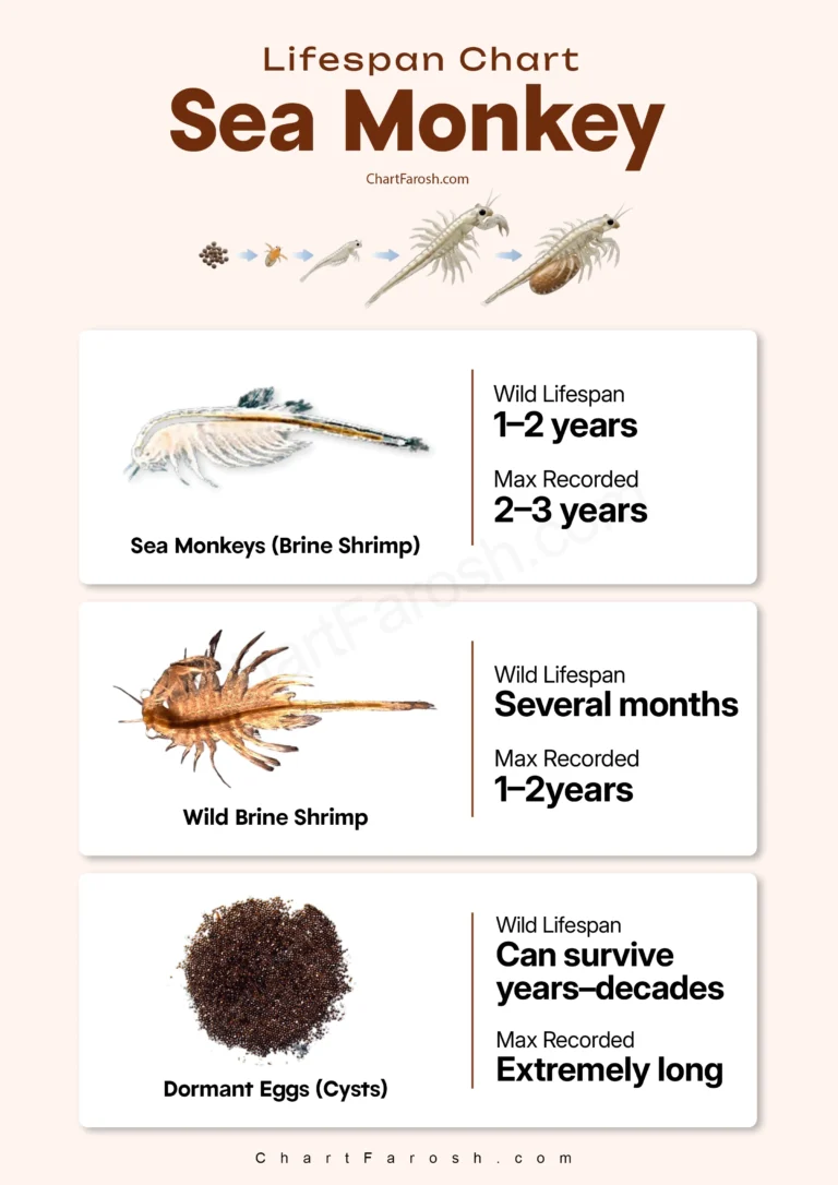 Sea Monkey Lifespan Chart