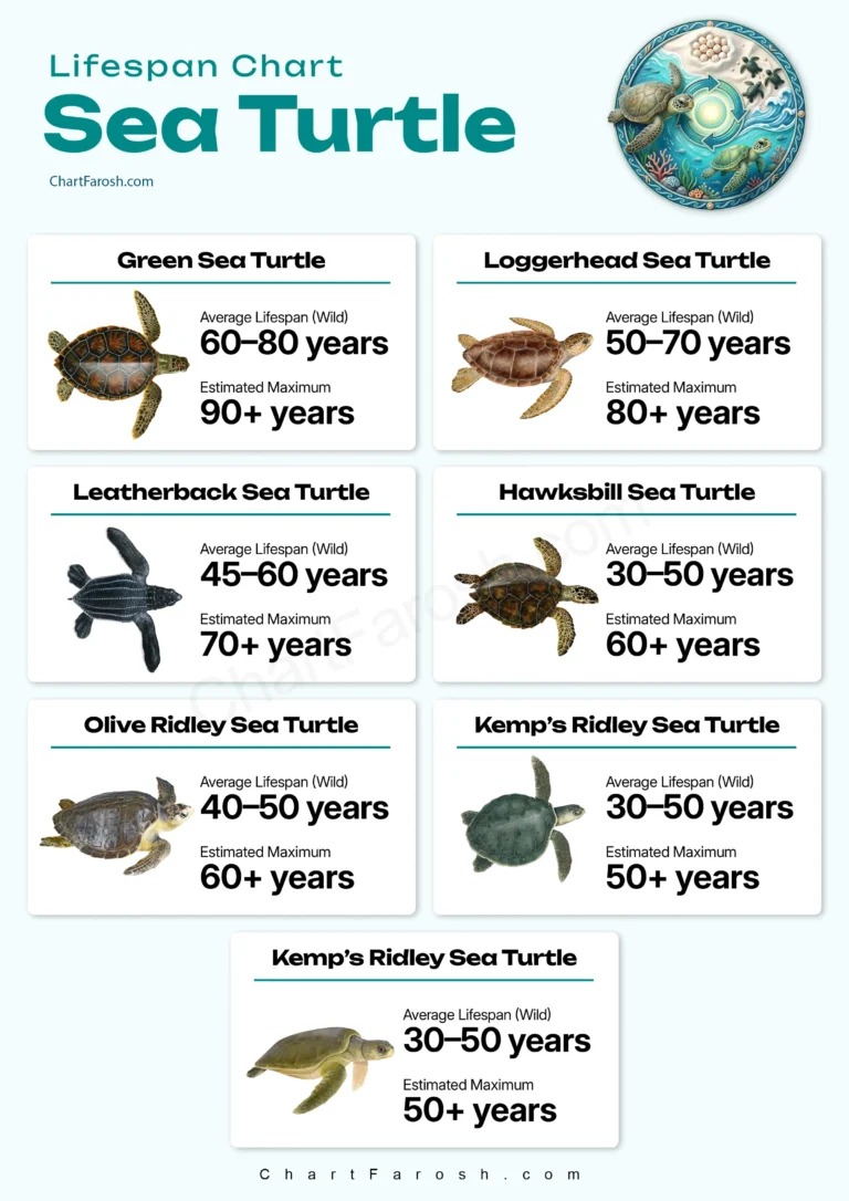 Sea Turtle Lifespan Chart