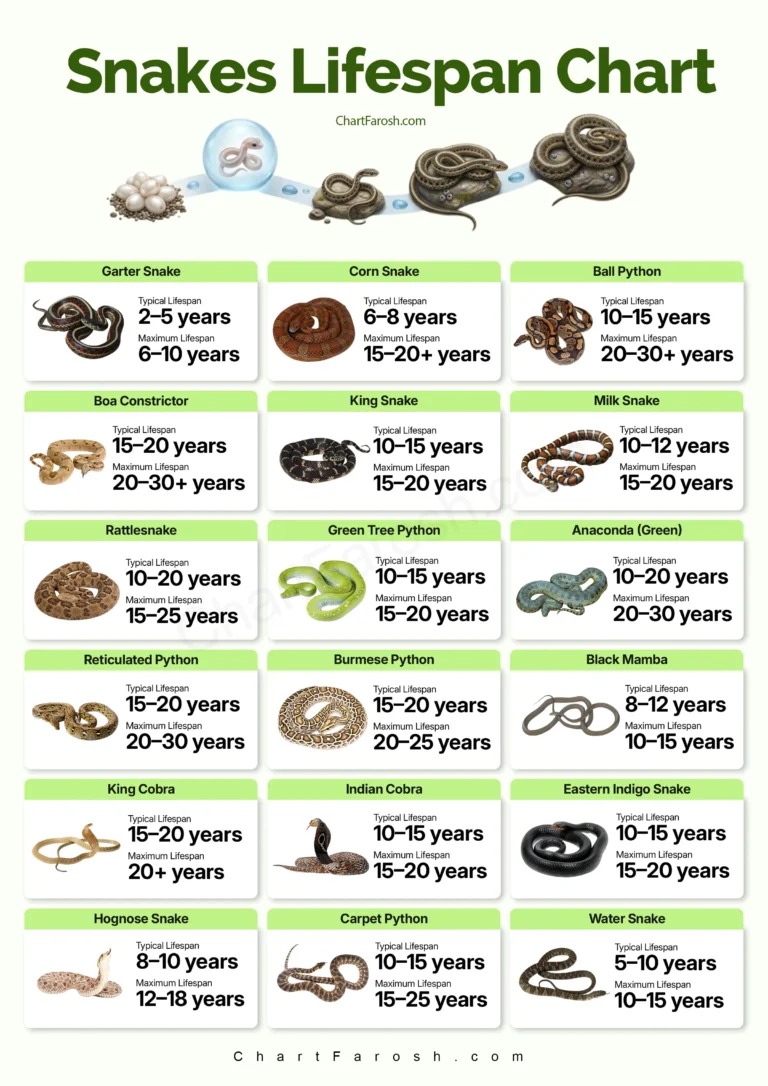 snake lifespan chart in captivity and wild