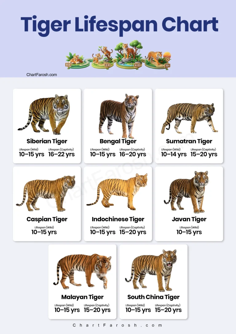 Tiger Lifespan Chart in captivity and wild