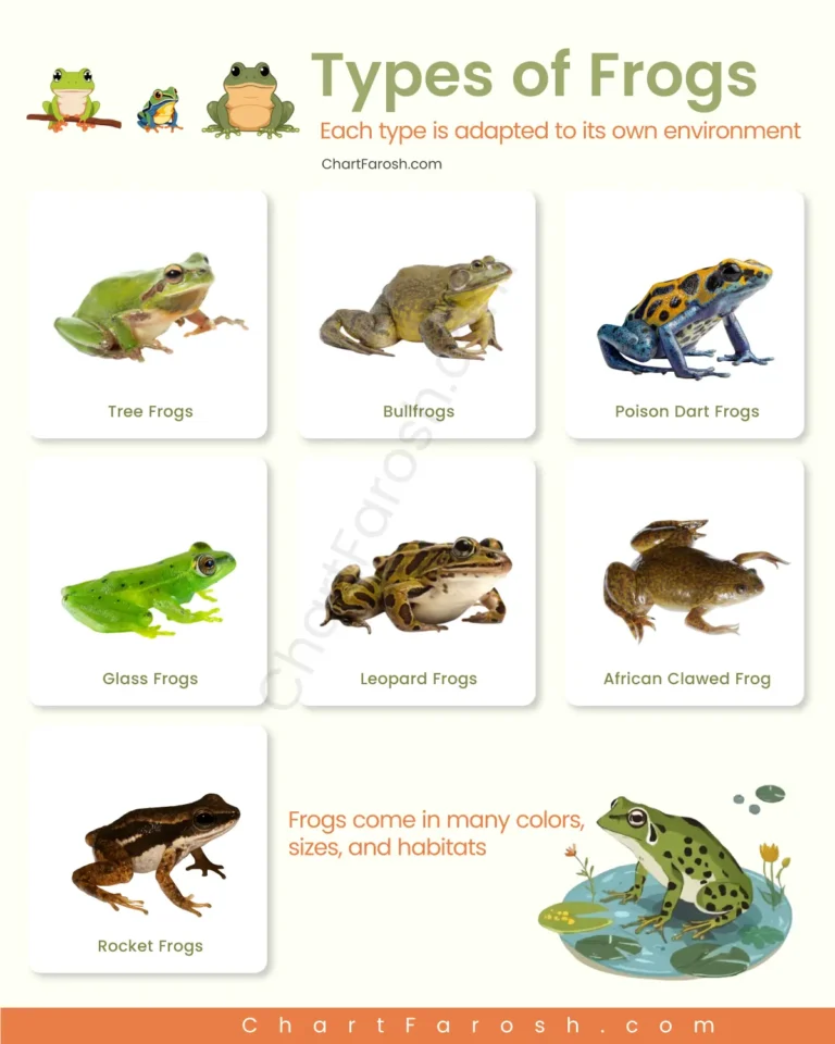 Types of Frogs with pictures