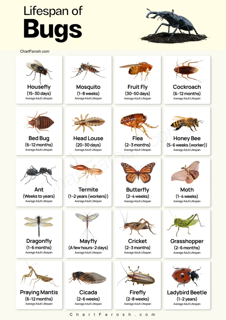 bugs Lifespan chart