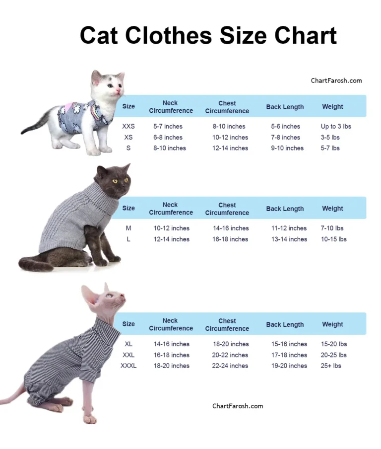 cat clothes size chart