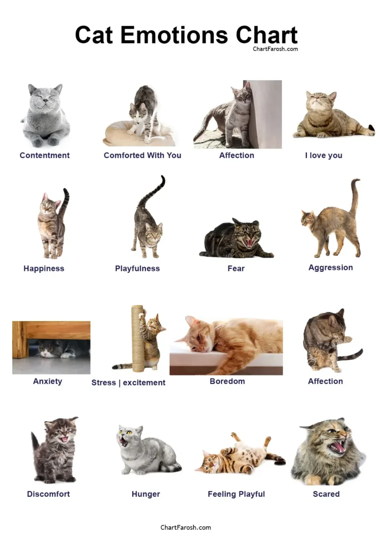 cat emotions chart