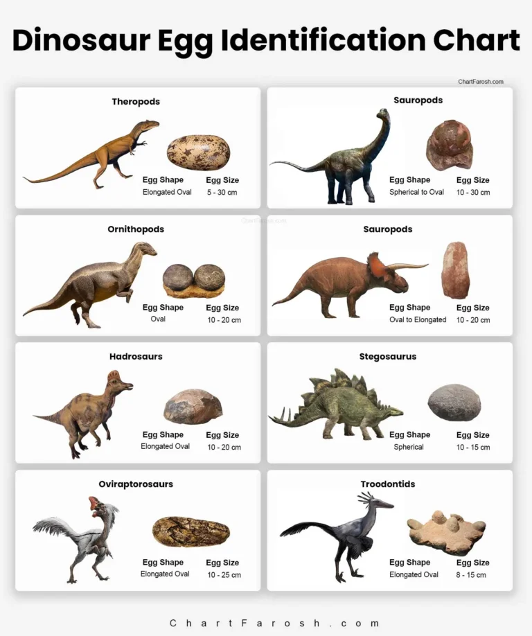 dinosaur egg identification chart