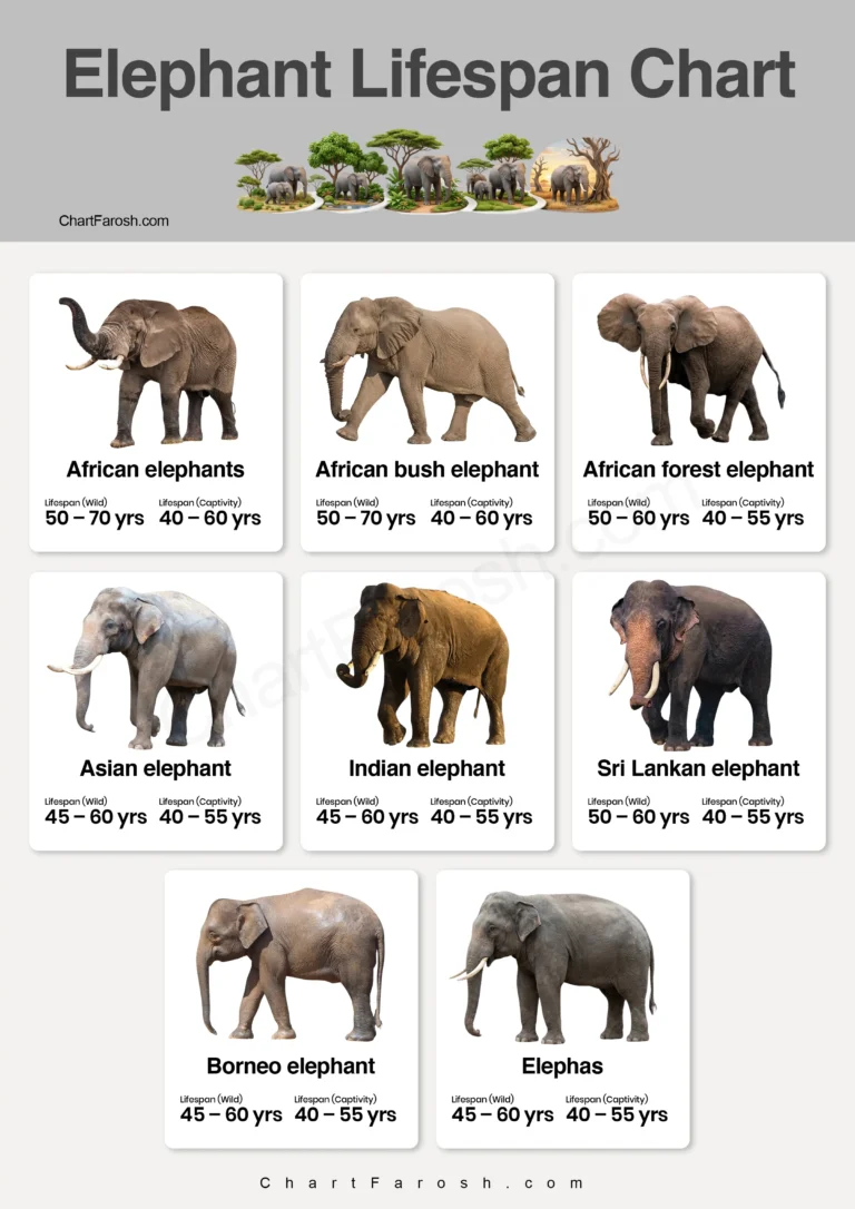 Elephant Lifespan in captivity and wild
