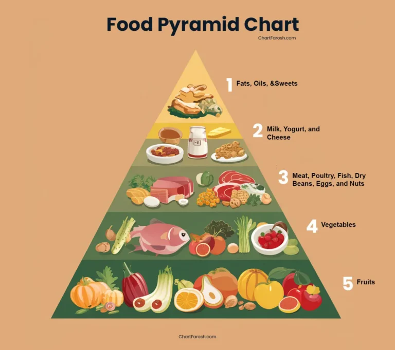 food pyramid chart