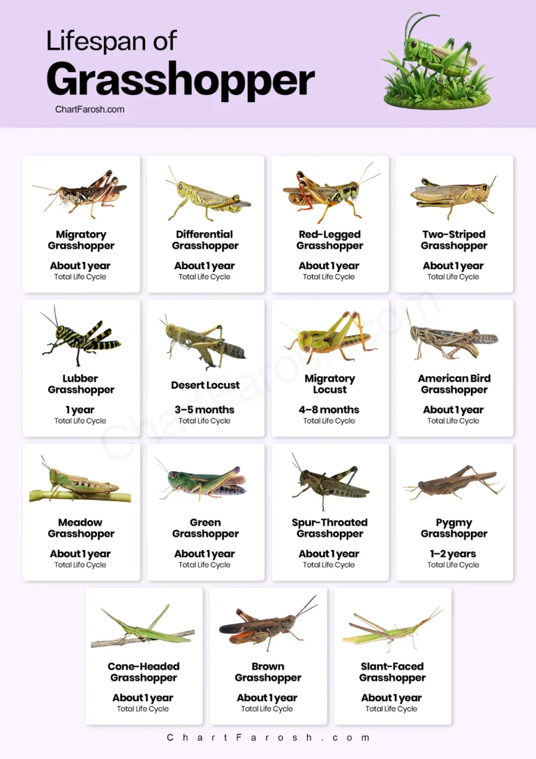 lifespan of grasshopper chart