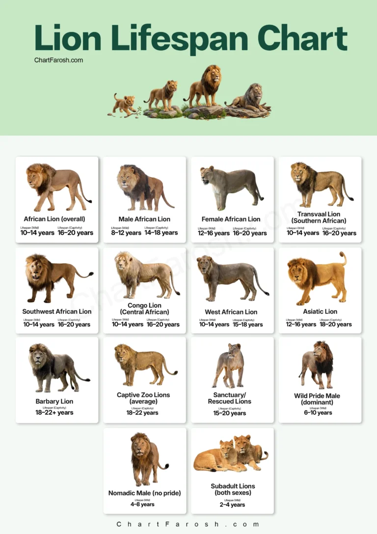 Lion Lifespan Chart in captivity and wild