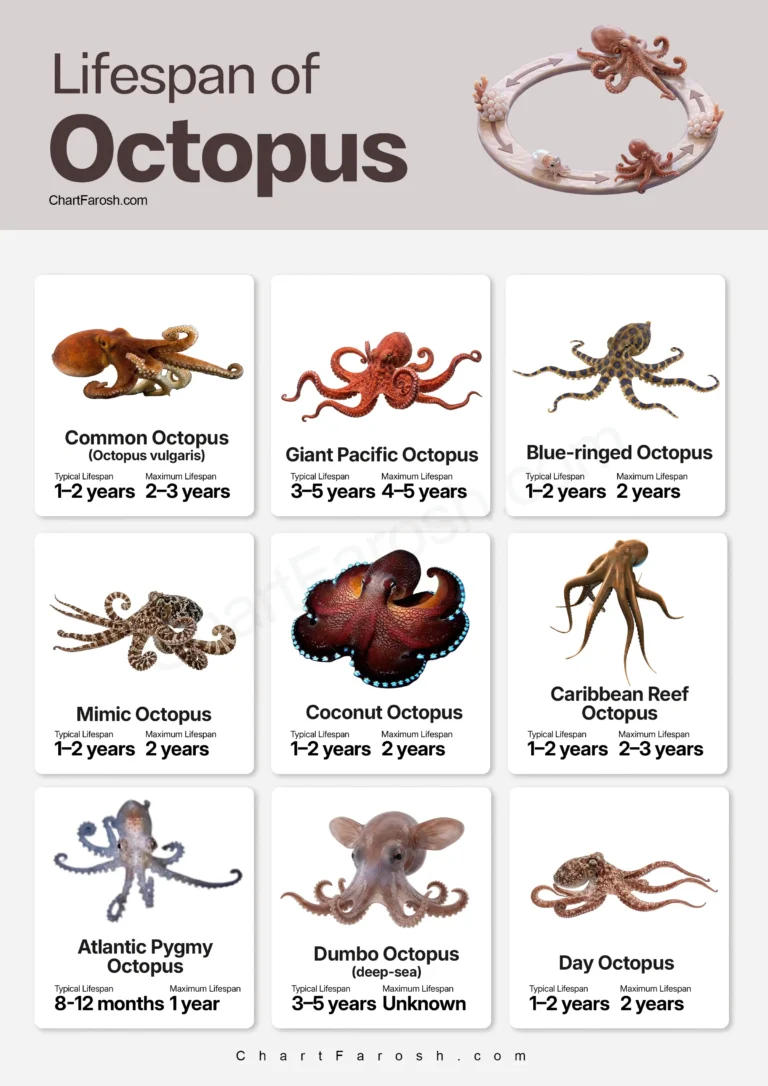 Octopus lifespan chart in captivity and wild