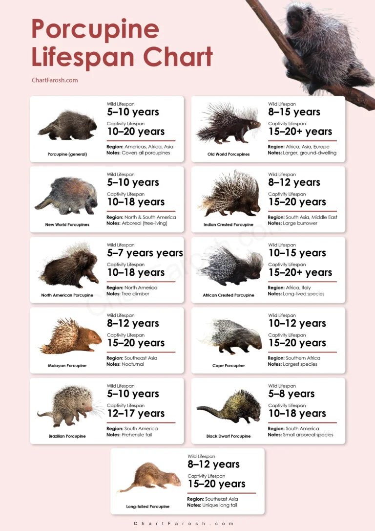 Porcupine Lifespan chart