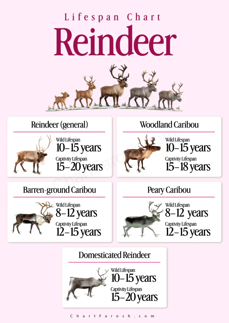 Reindeer Lifespan Chart