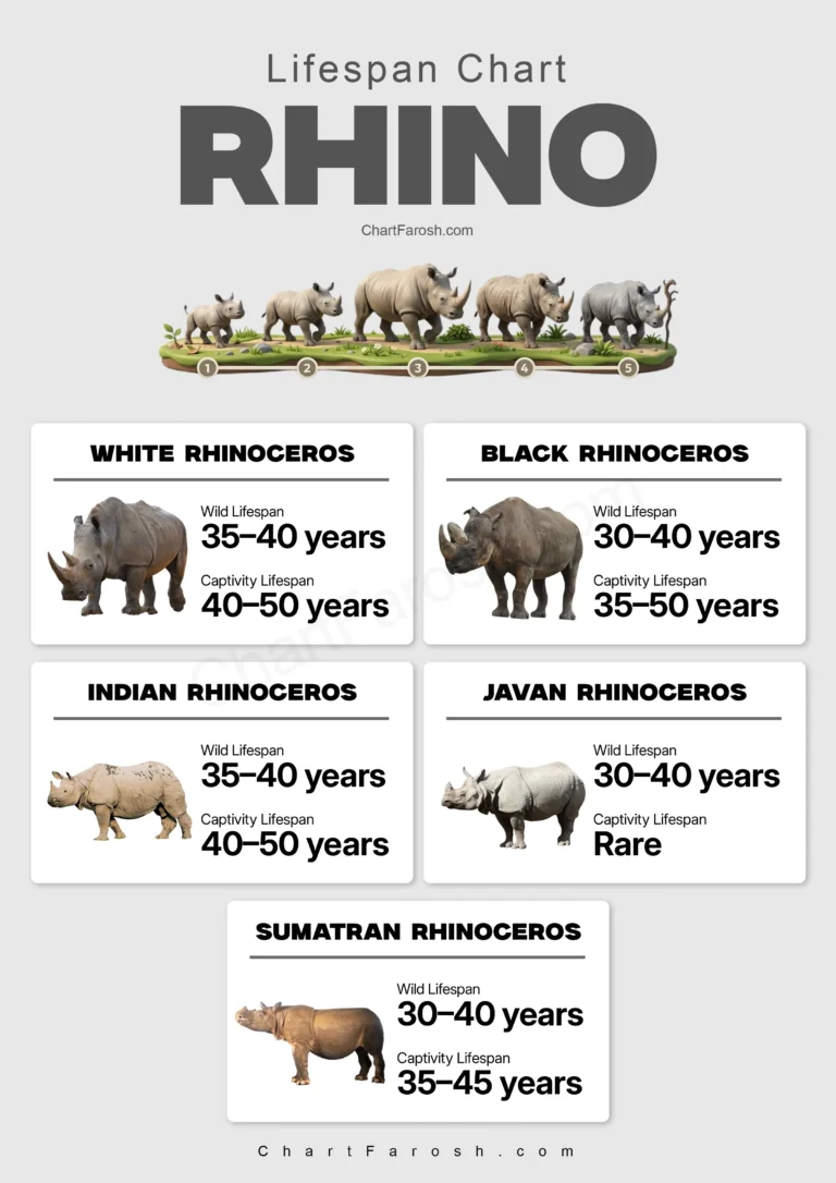 Rhino Lifespan Chart