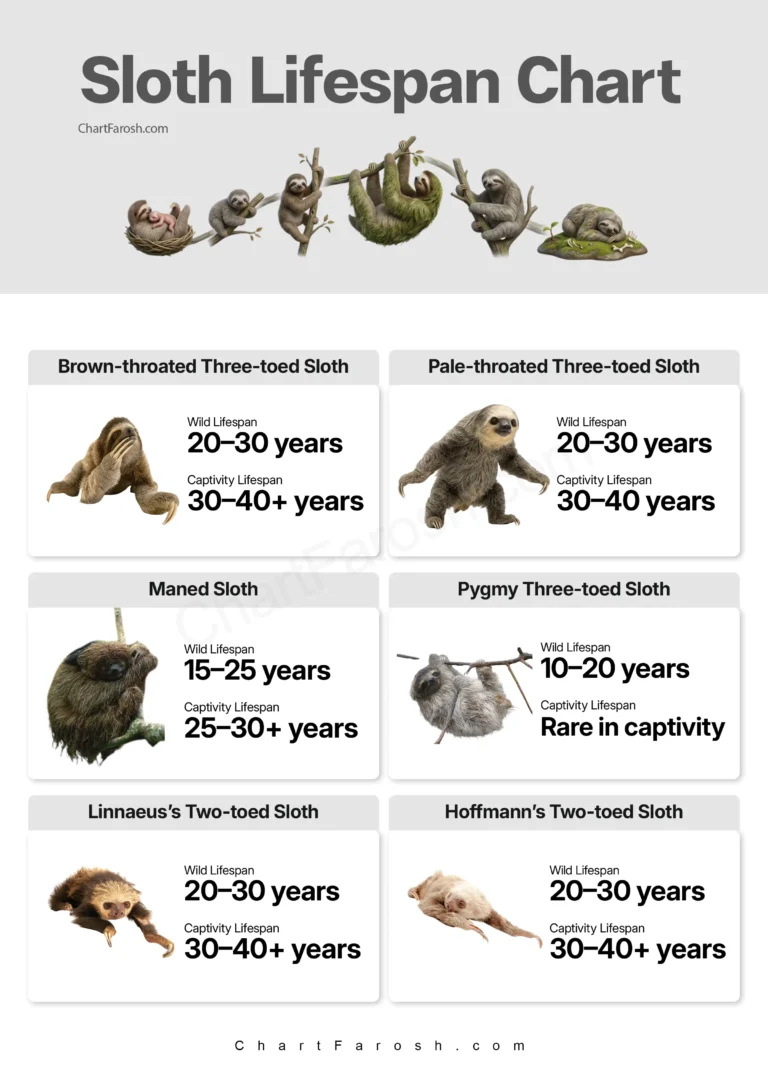 Sloth Lifespan Chart