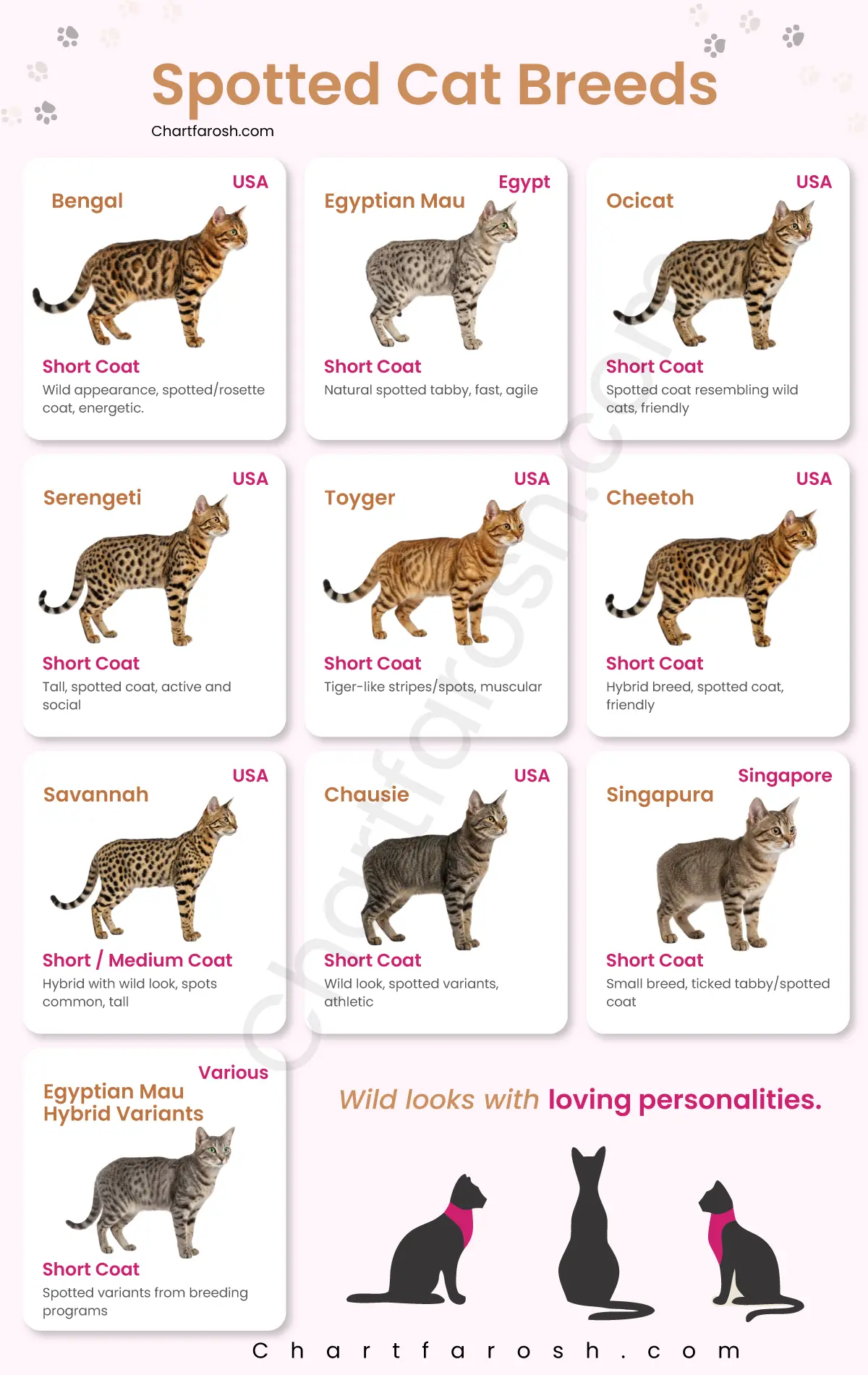 spotted cat breeds list with pictures