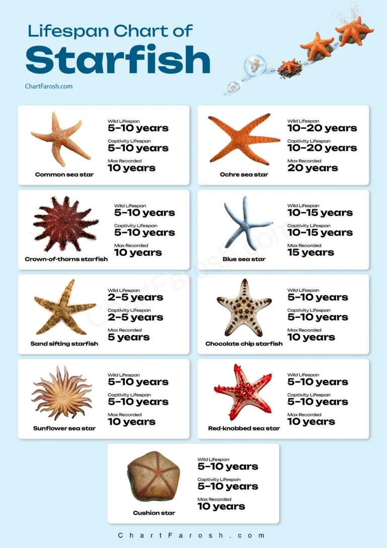 Starfish Lifespan Chart